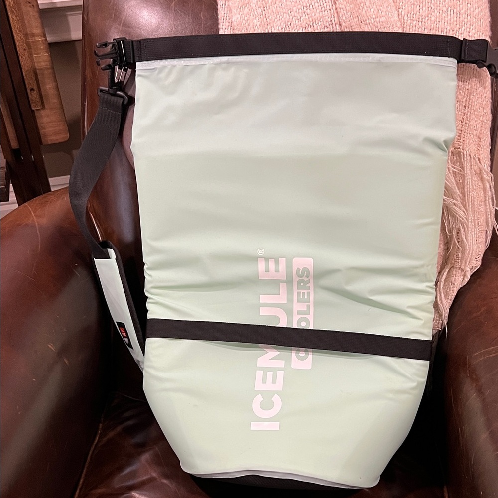 Mint Backpack